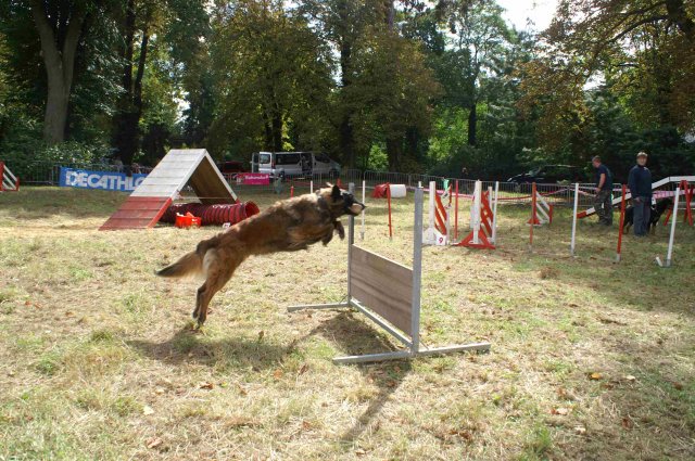 foire-haricots 2011-09-17et18